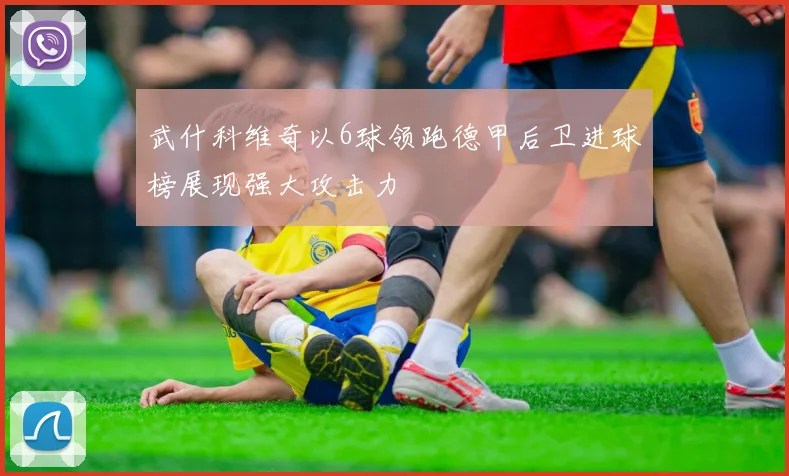武什科维奇以6球领跑德甲后卫进球榜展现强大攻击力
